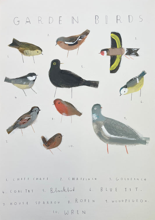 Garden Birds