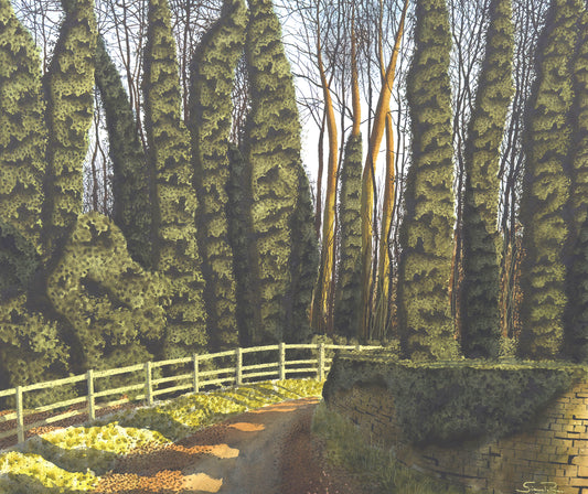Gebdykes Wood