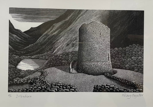 Dolbadarn