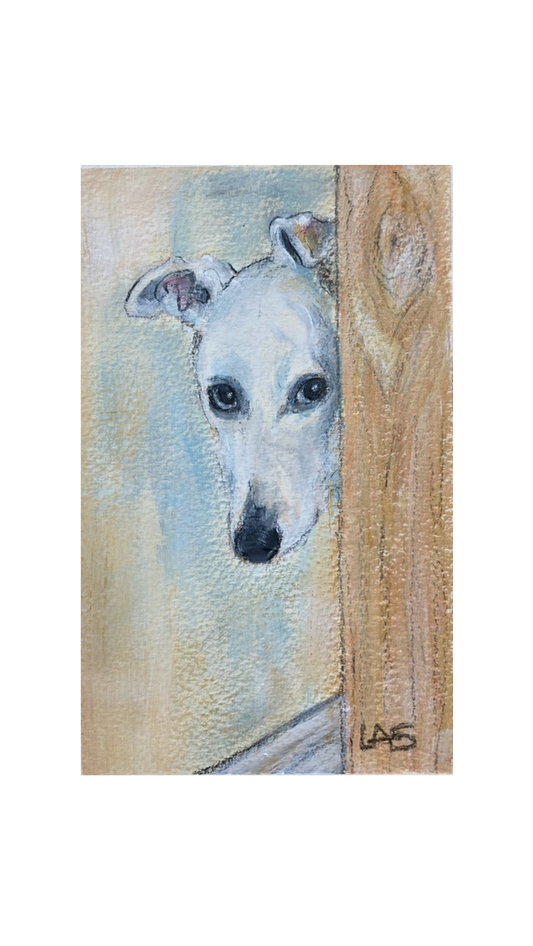 White Lurcher at Door