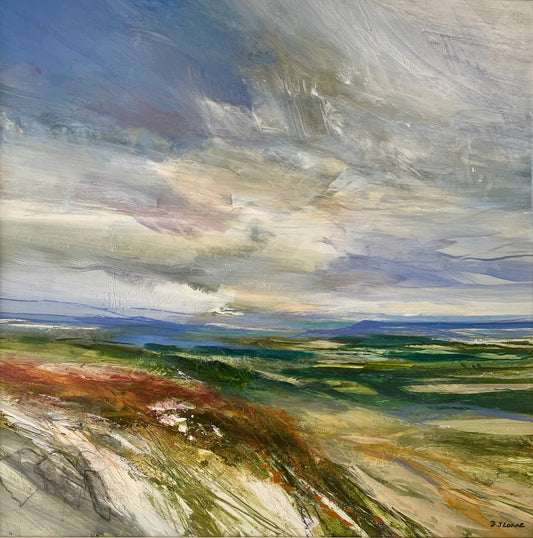 Looking Down Bilsdale from Cold Moor