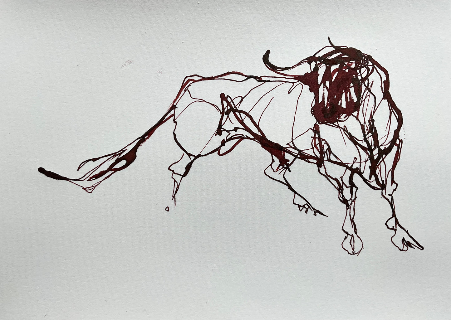 Bull I