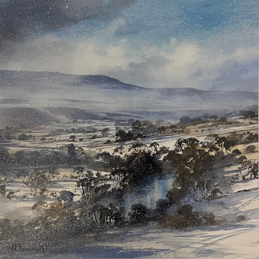 Teesdale in Winter