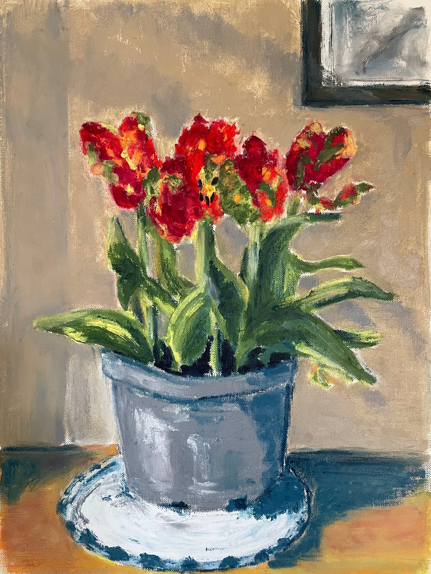 Parrot Tulips