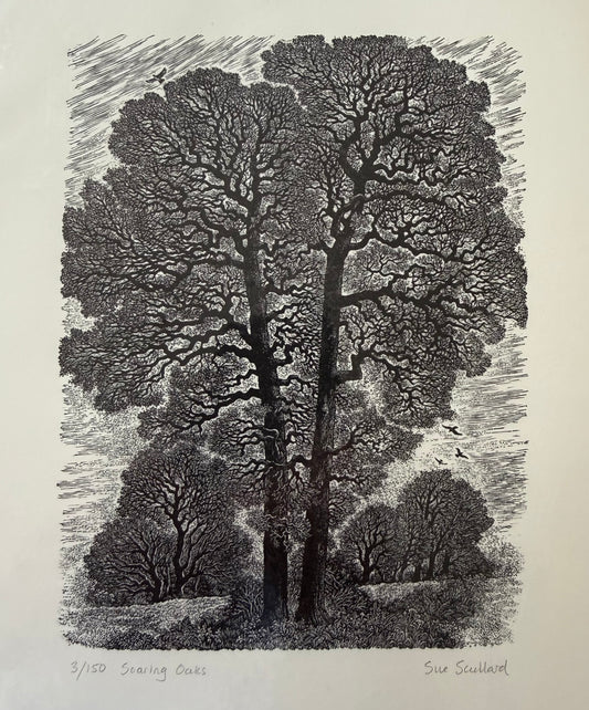 Soaring Oaks