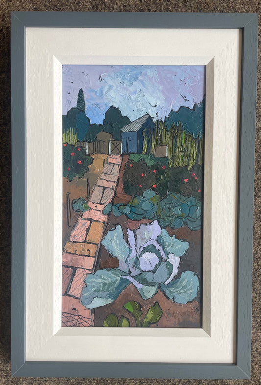 Allotment + Large Cabbage