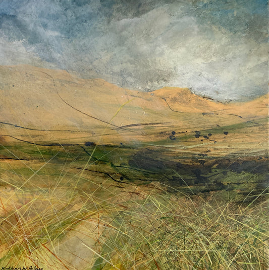Late Spring looking towards Rylstone Fell