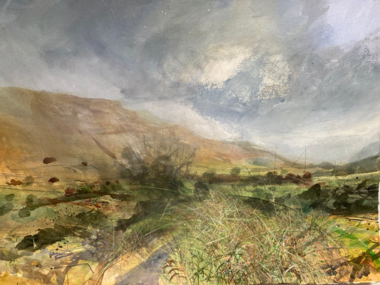 Late Summer, coming home from the moor. On Fleets Lane, Summer is moving on