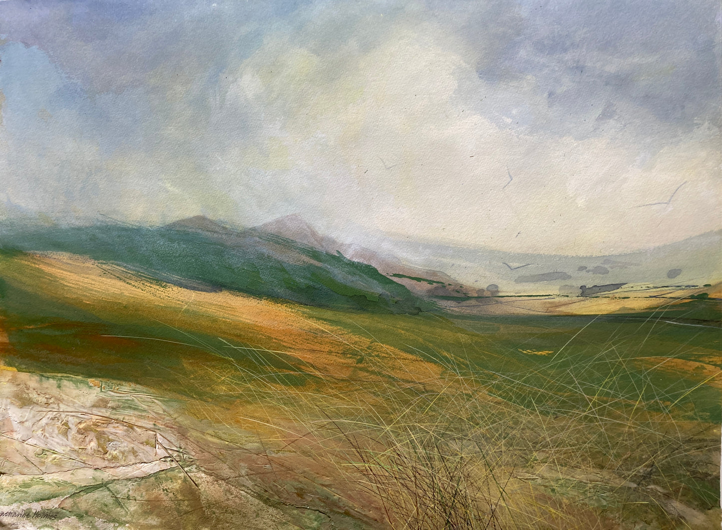 Lengthening days, on Boss Moor