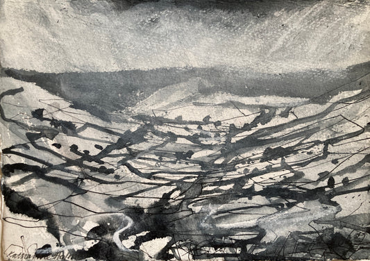 Little Fryup Dale, towards Danby Moor