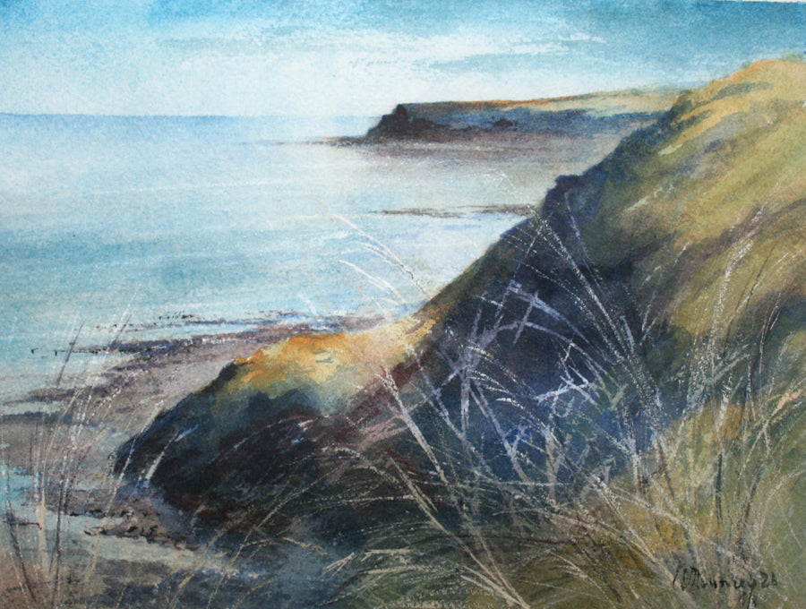 On a walk to Runswick