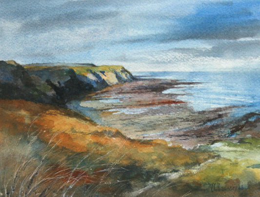 On a walk to Staithes