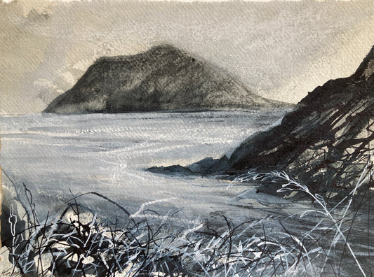 On the costal path, towards Bardsey Island, Gwynedd