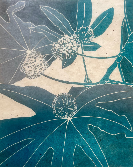 Paper Plant, Fatsia Japonica: York