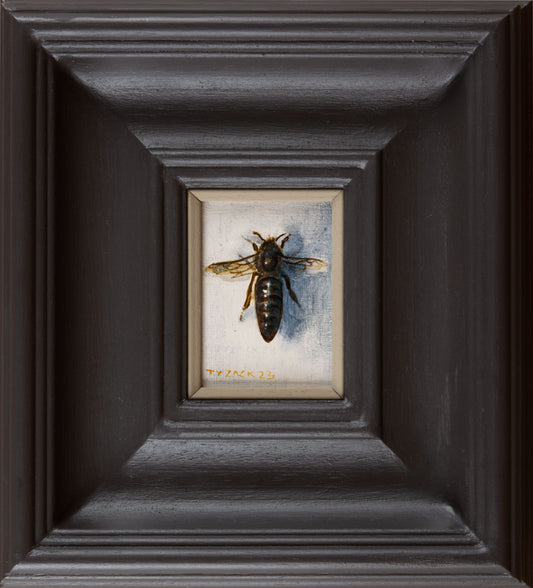 Queen of the Hive