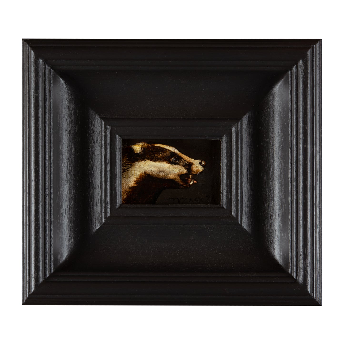 Secret badger