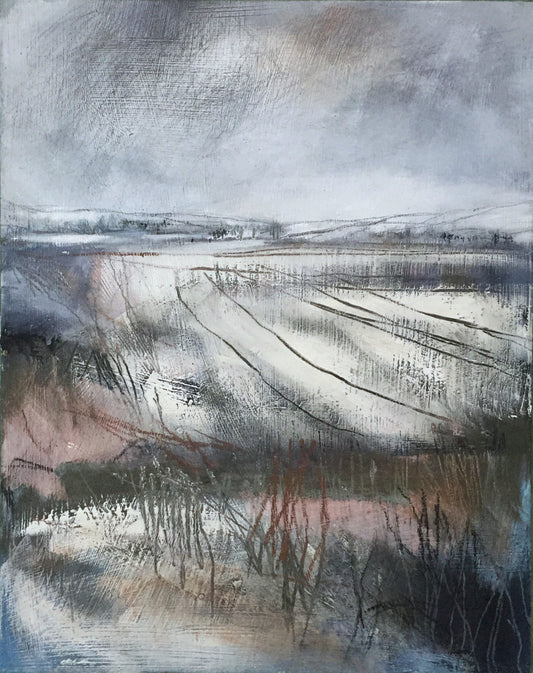Silent Snow Fields