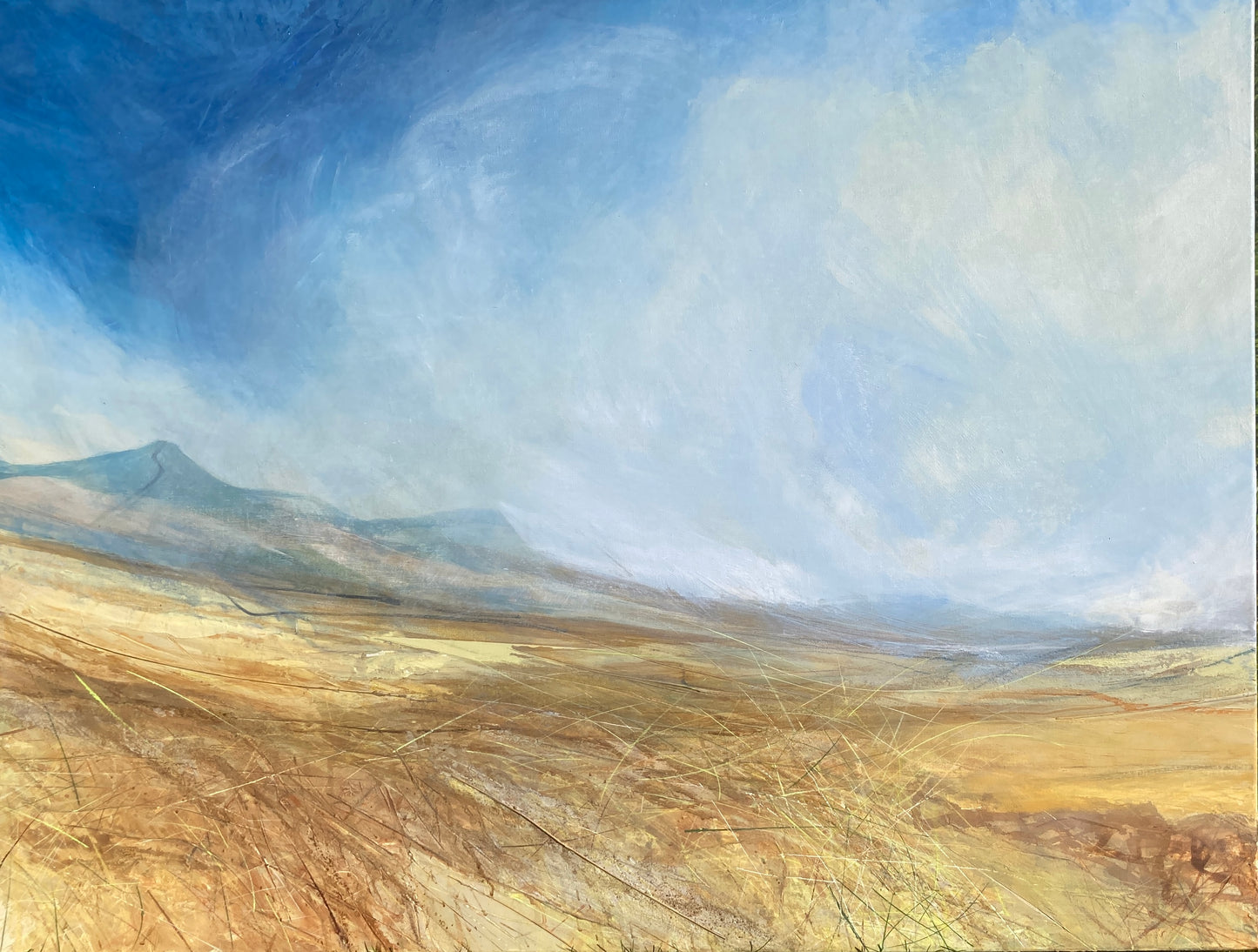 Spring skies and grasses, Boss Moor