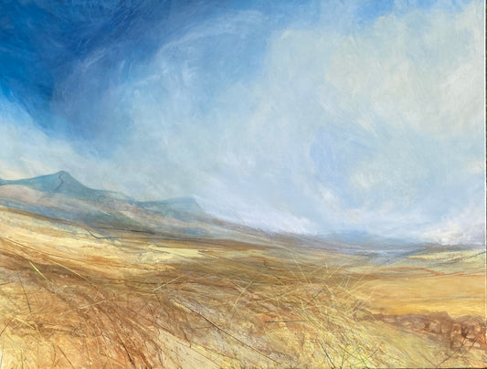 Spring skies and grasses, Boss Moor
