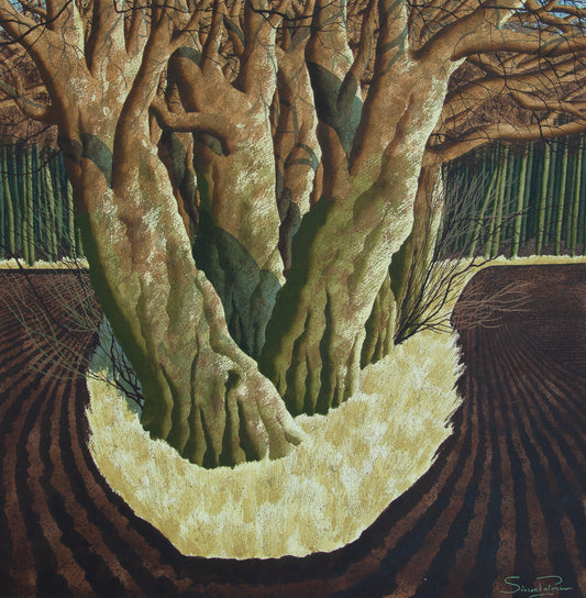 The Old Copse