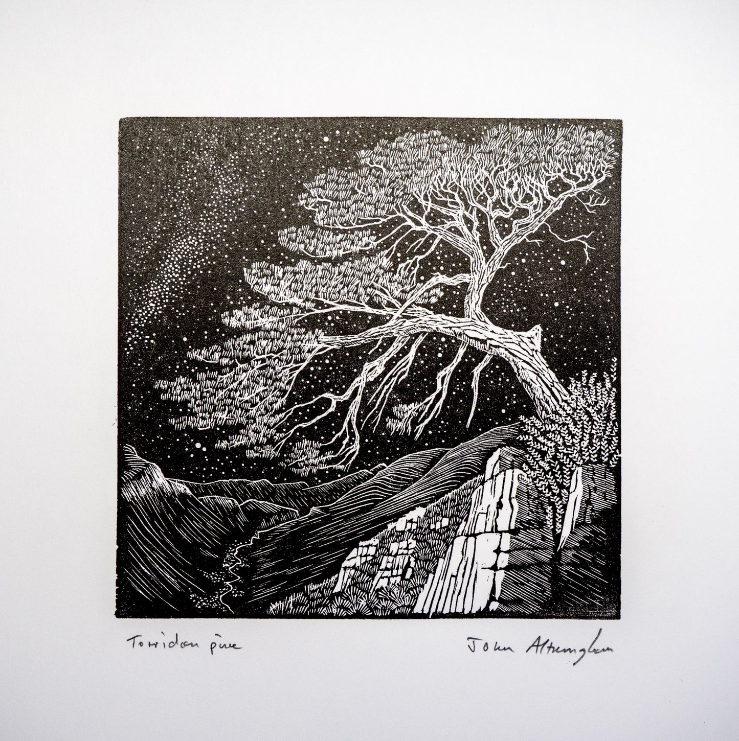 Torridon Pine