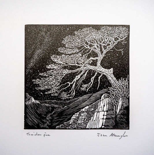 Torridon Pine