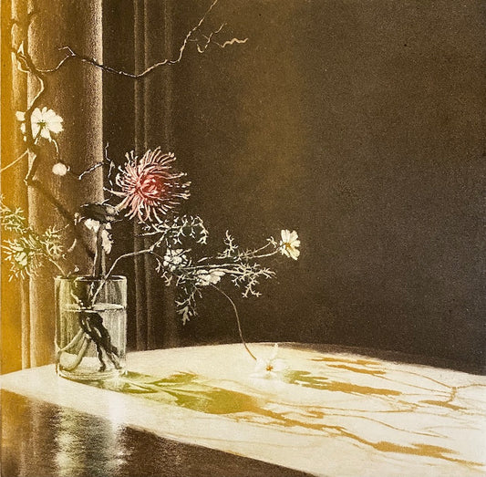 Window Light XVI