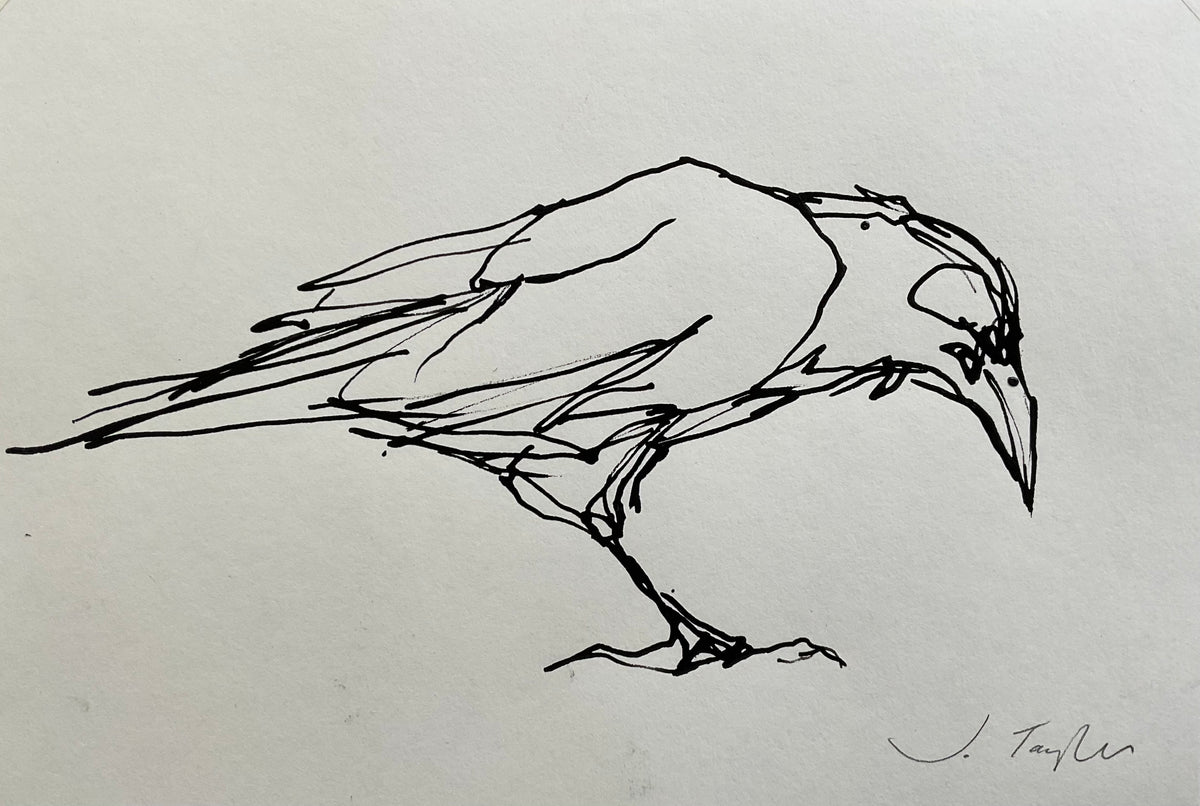 Crow – Zillah Bell Gallery
