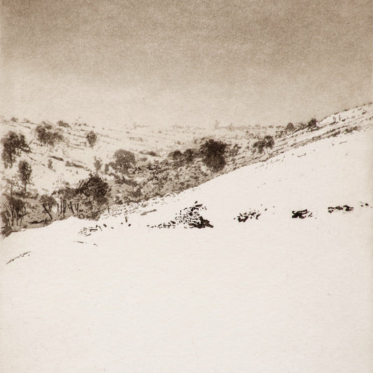 Looking Back to Stanbury