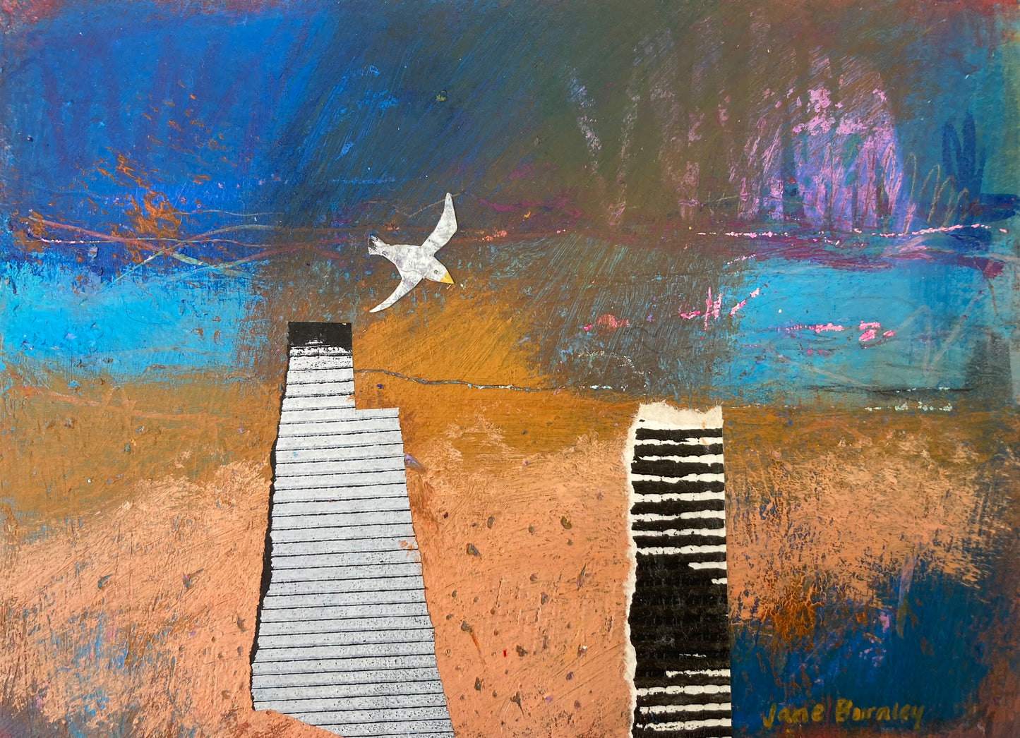 Seagull