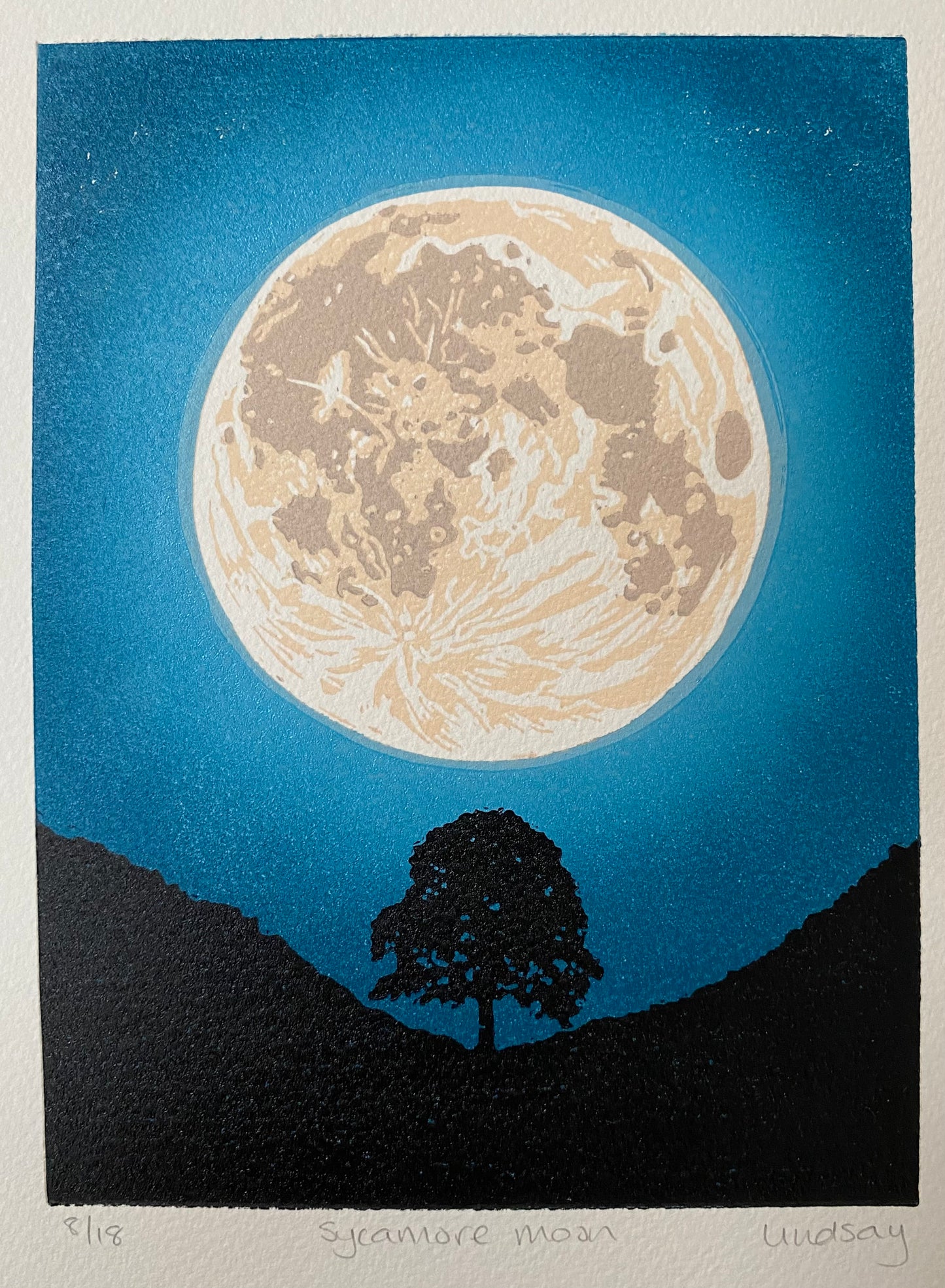 Sycamore Moon