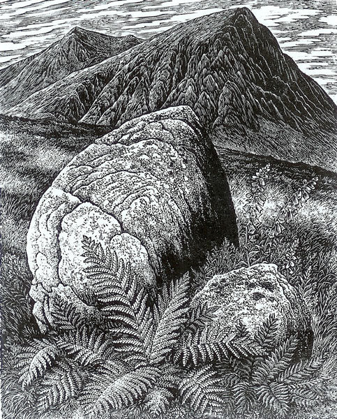On Rannoch Moor