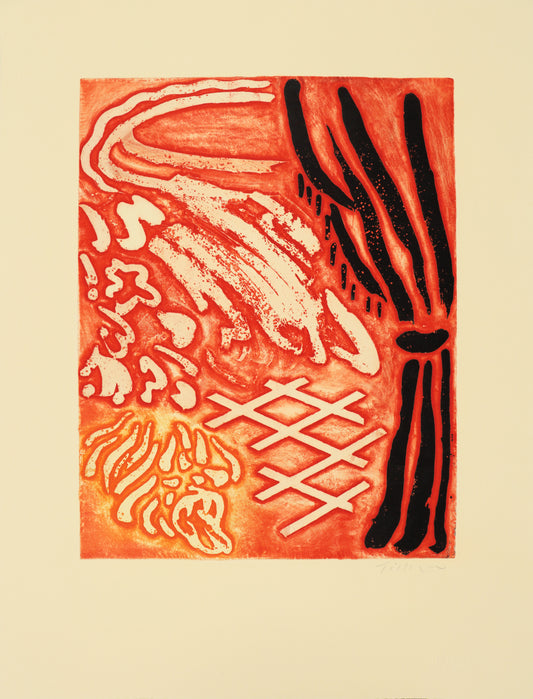 Interior at Fontenay aux Roses with Large Tortoise I