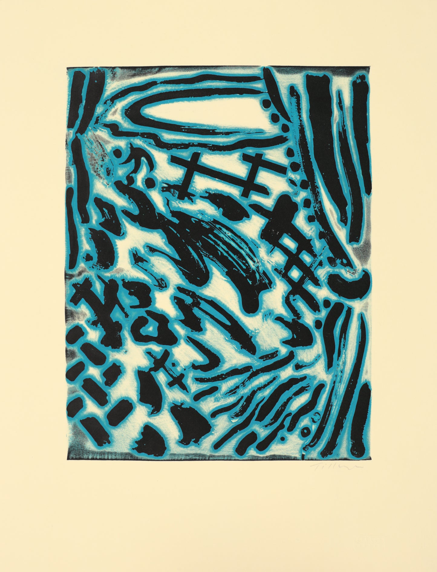 Interior at Fontenay aux Roses with Large Tortoise II