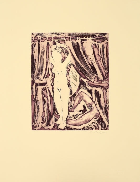 The Crimson Cubicles - 'a series of crimson  cubicles decorated with circular mirrors' III