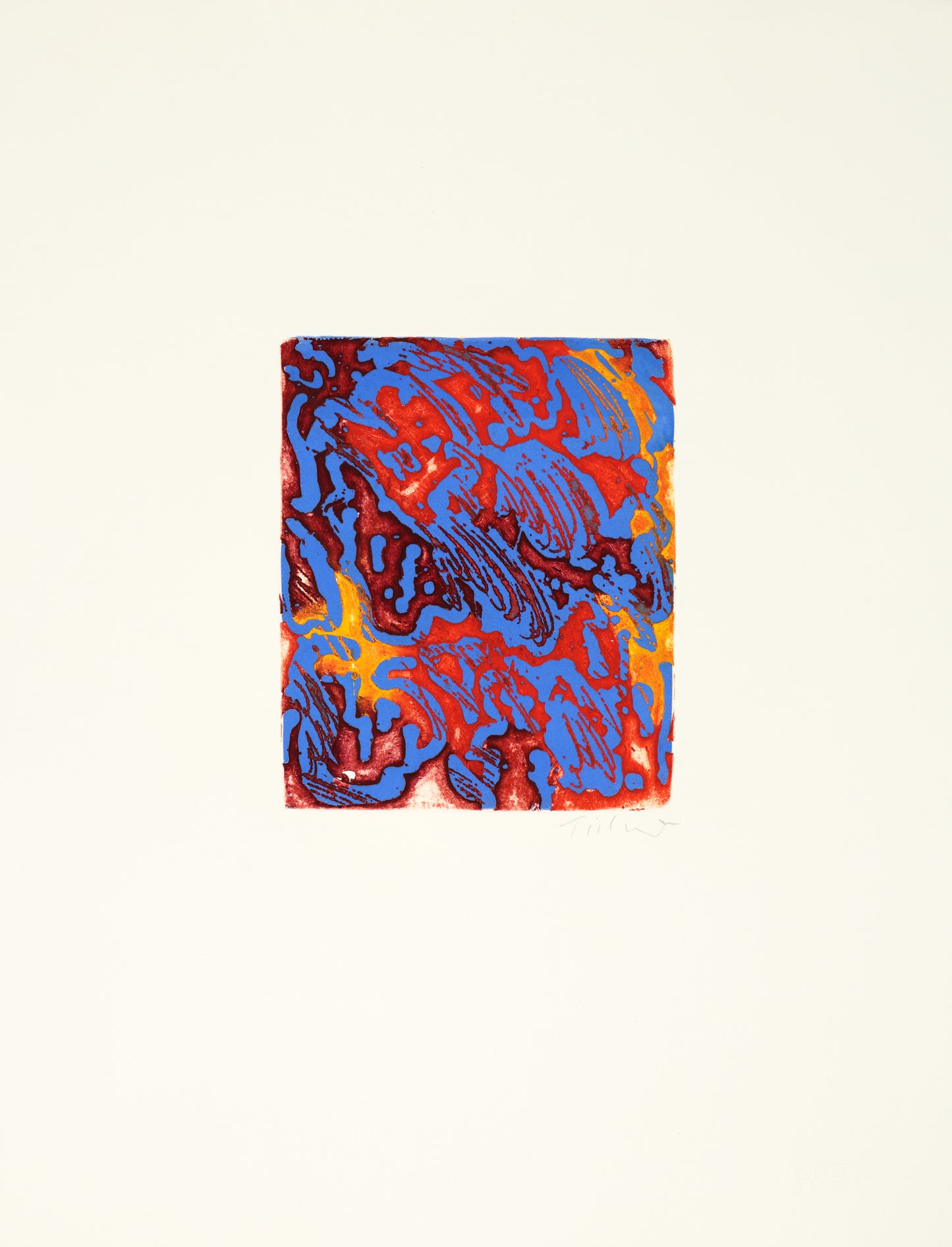 'real flowers that mimicked artificial ones' - Tillandsia Lindeni