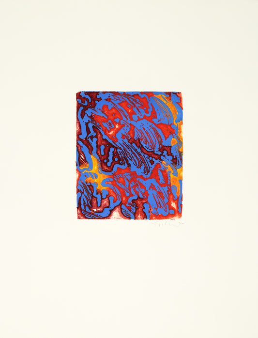 'real flowers that mimicked artificial ones' - Tillandsia Lindeni