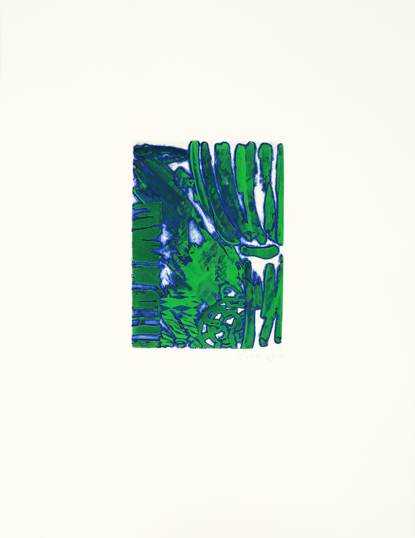 Interior at Fontenay aux Roses with Large Tortoise X