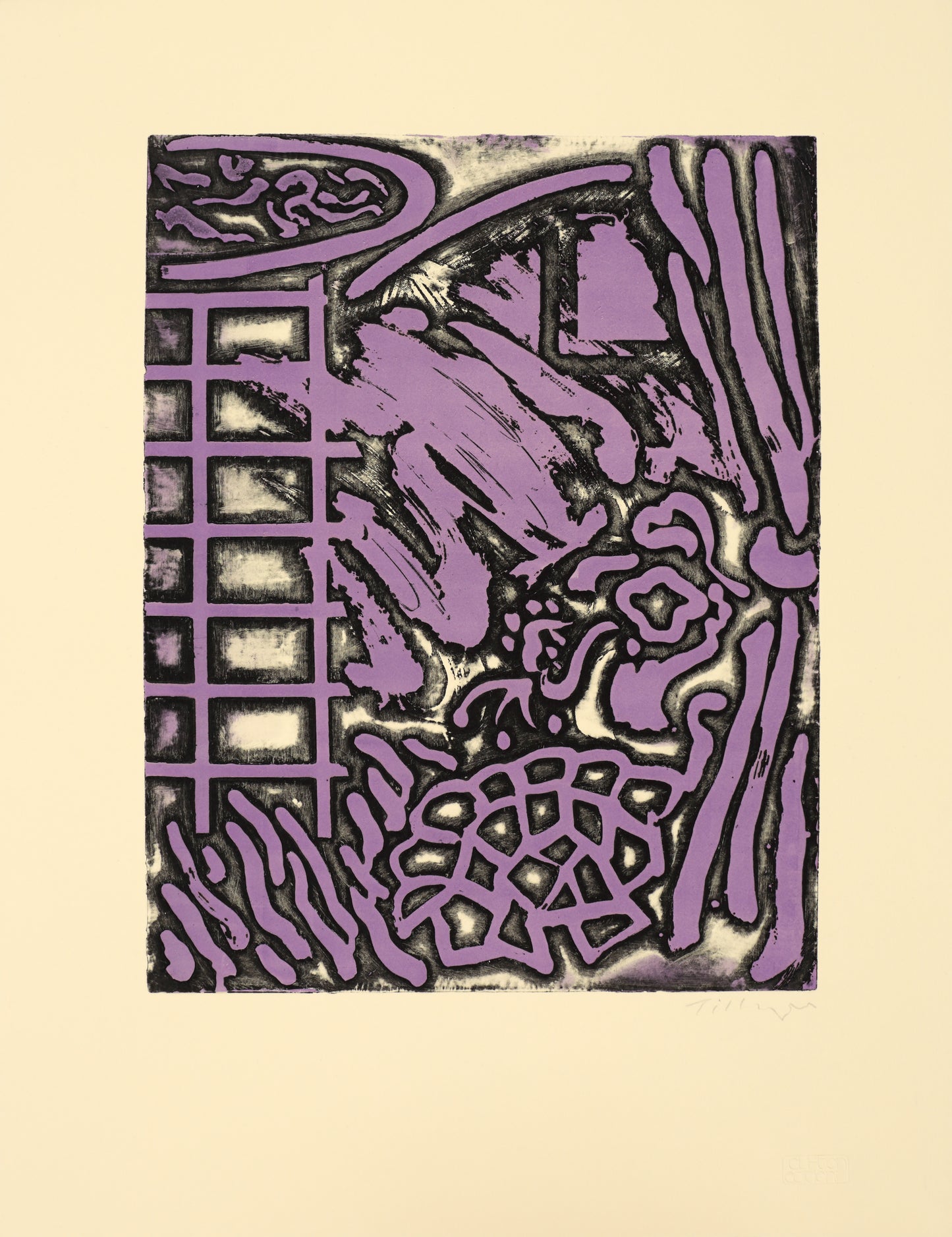 Interior at Fontenay aux Roses with Large Tortoise IV