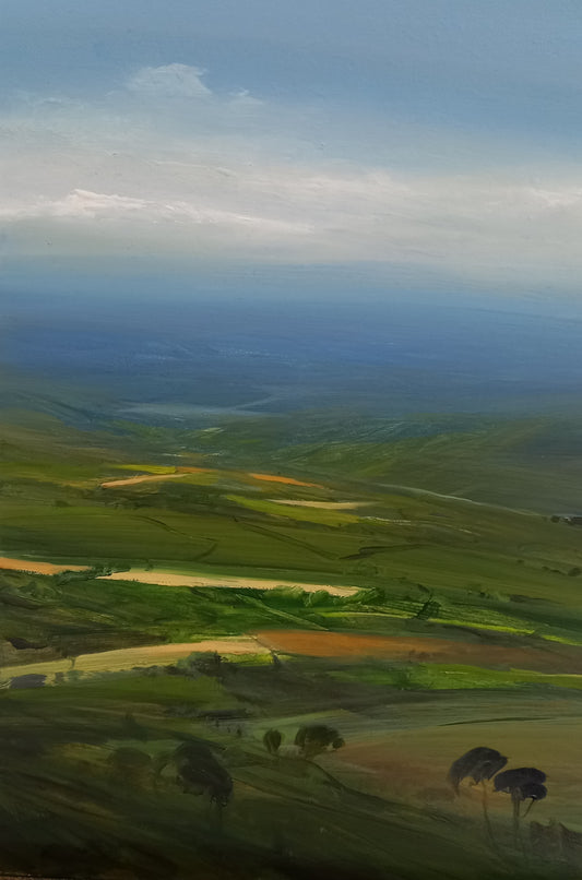 Open Fields