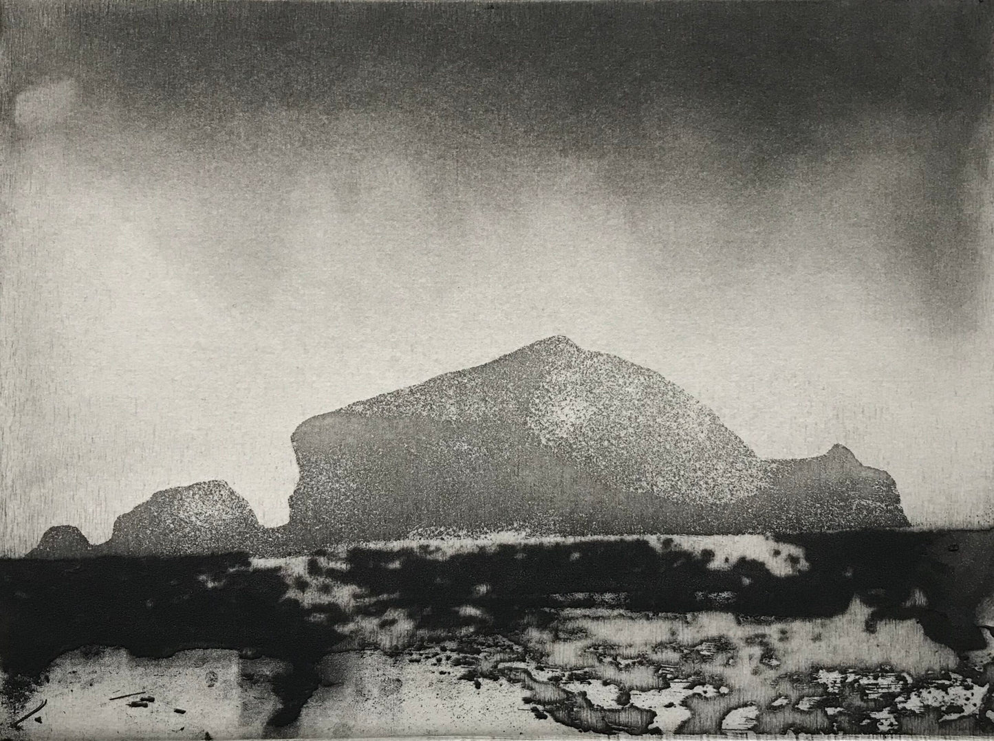 South Gut Grassholm Island