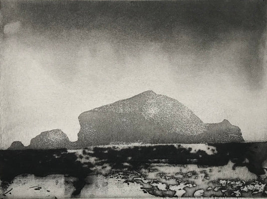 South Gut Grassholm Island