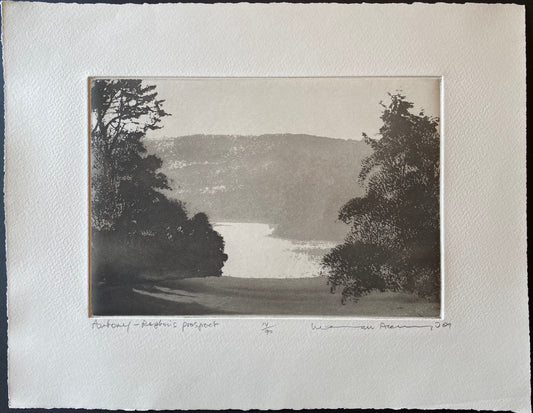 Antony, Repton's Prospect