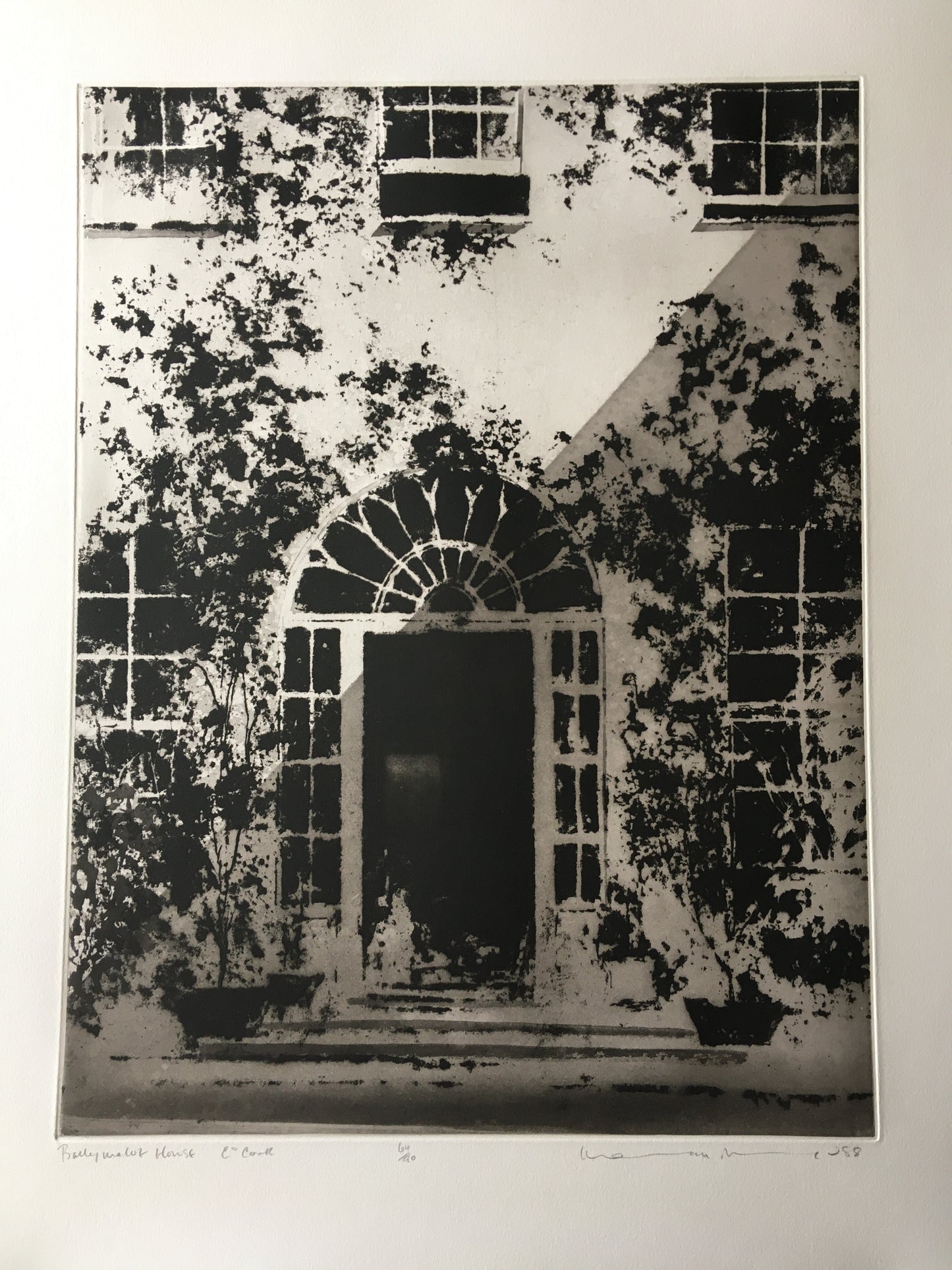 Ballymaloe House, Co. Cork