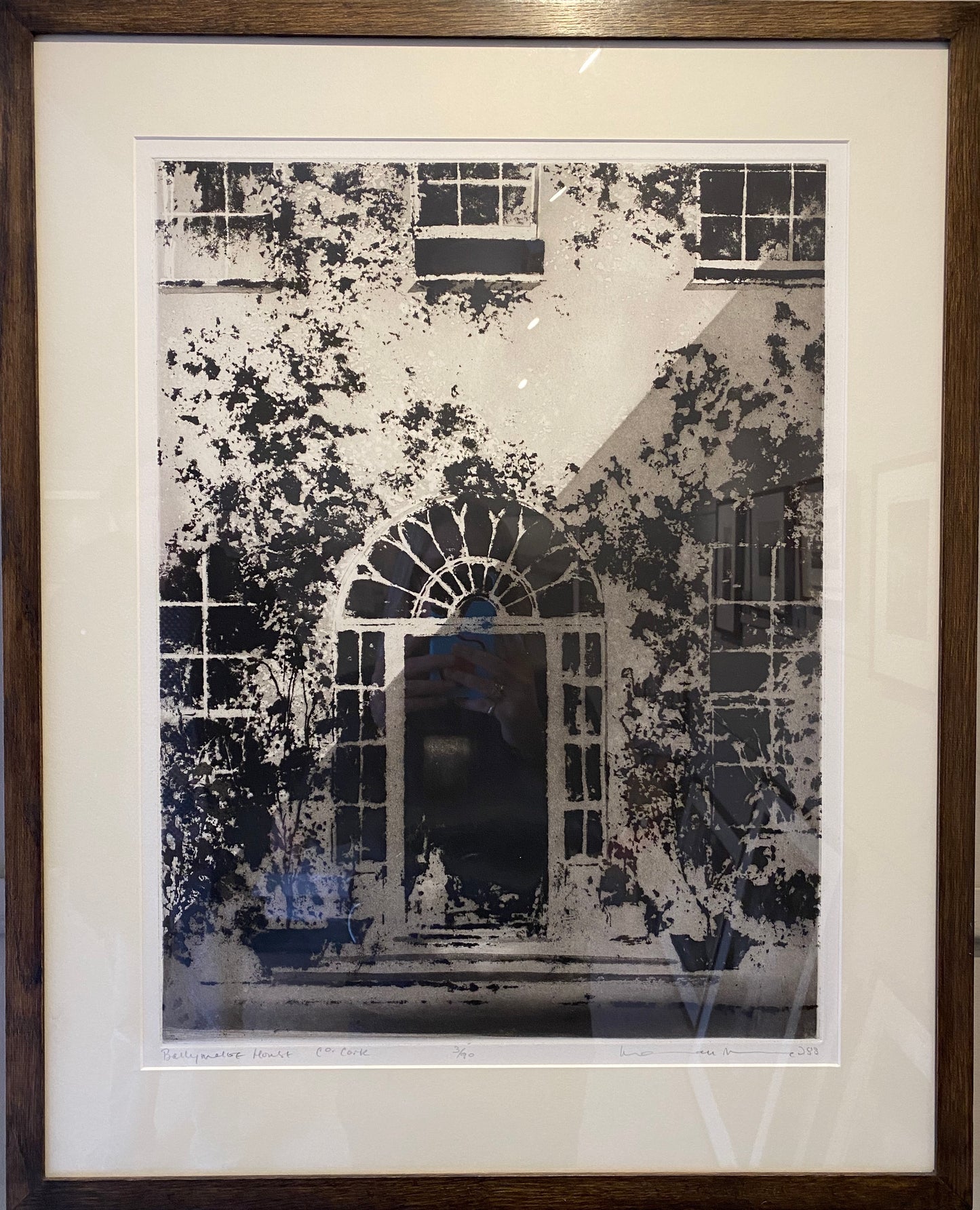Ballymaloe House, Co. Cork