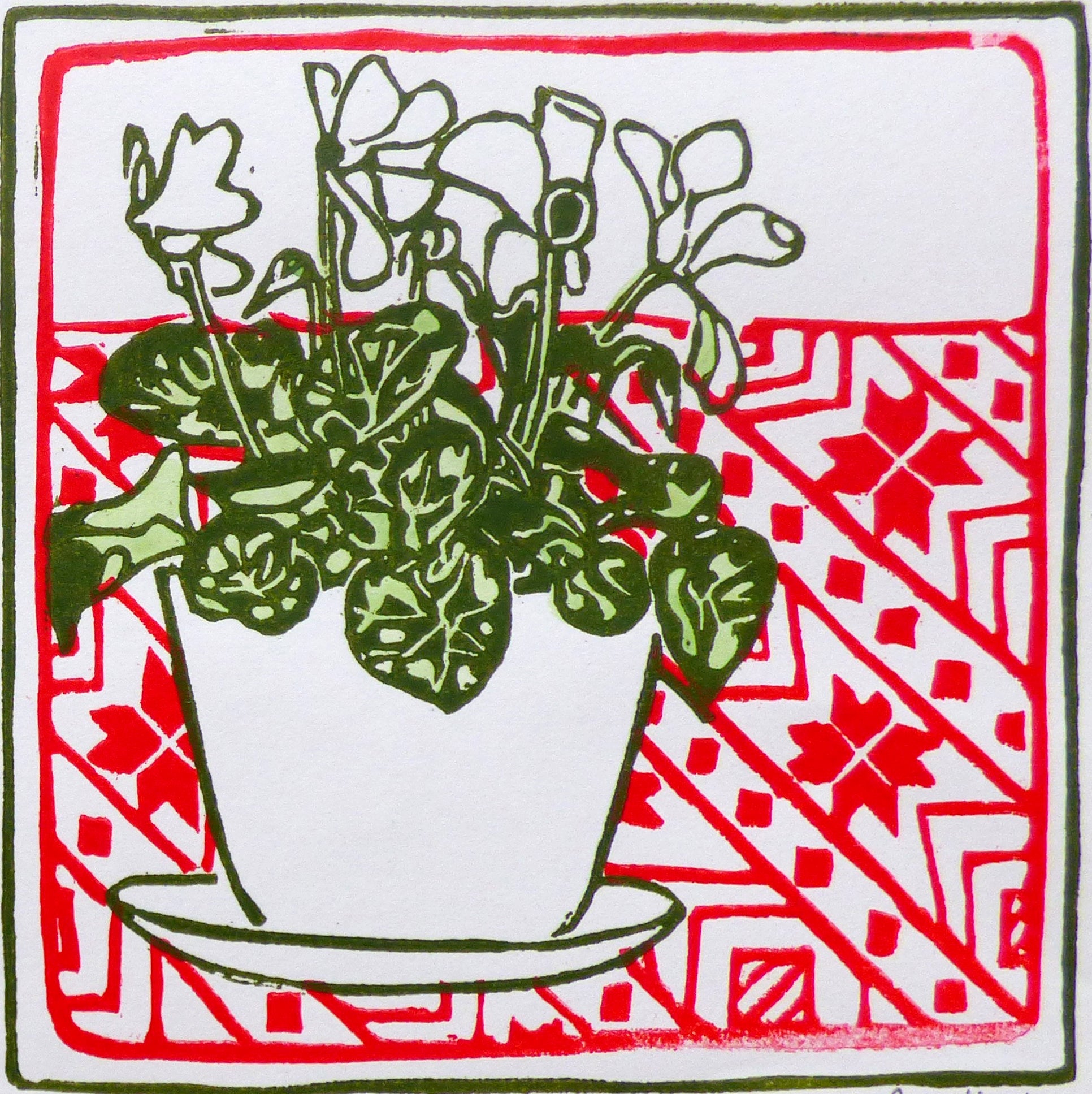 Cyclamen