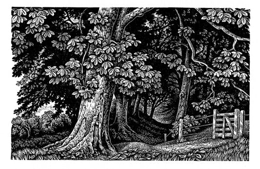 Edge of the Wood