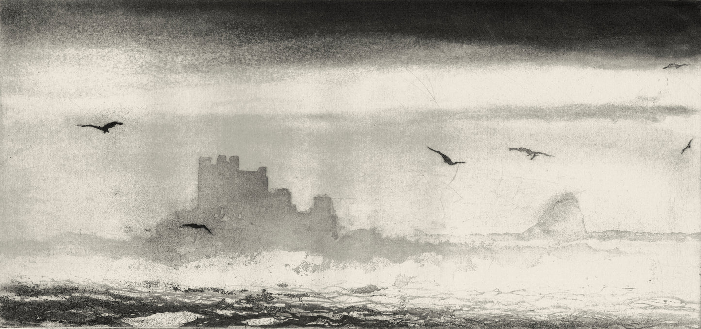 From Inner Farne