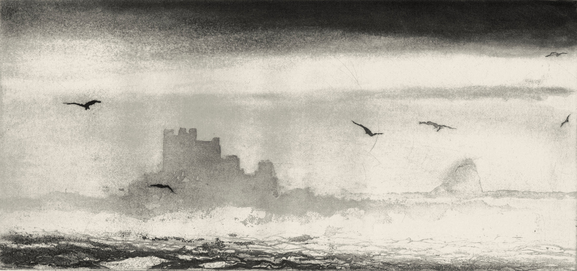 From Inner Farne