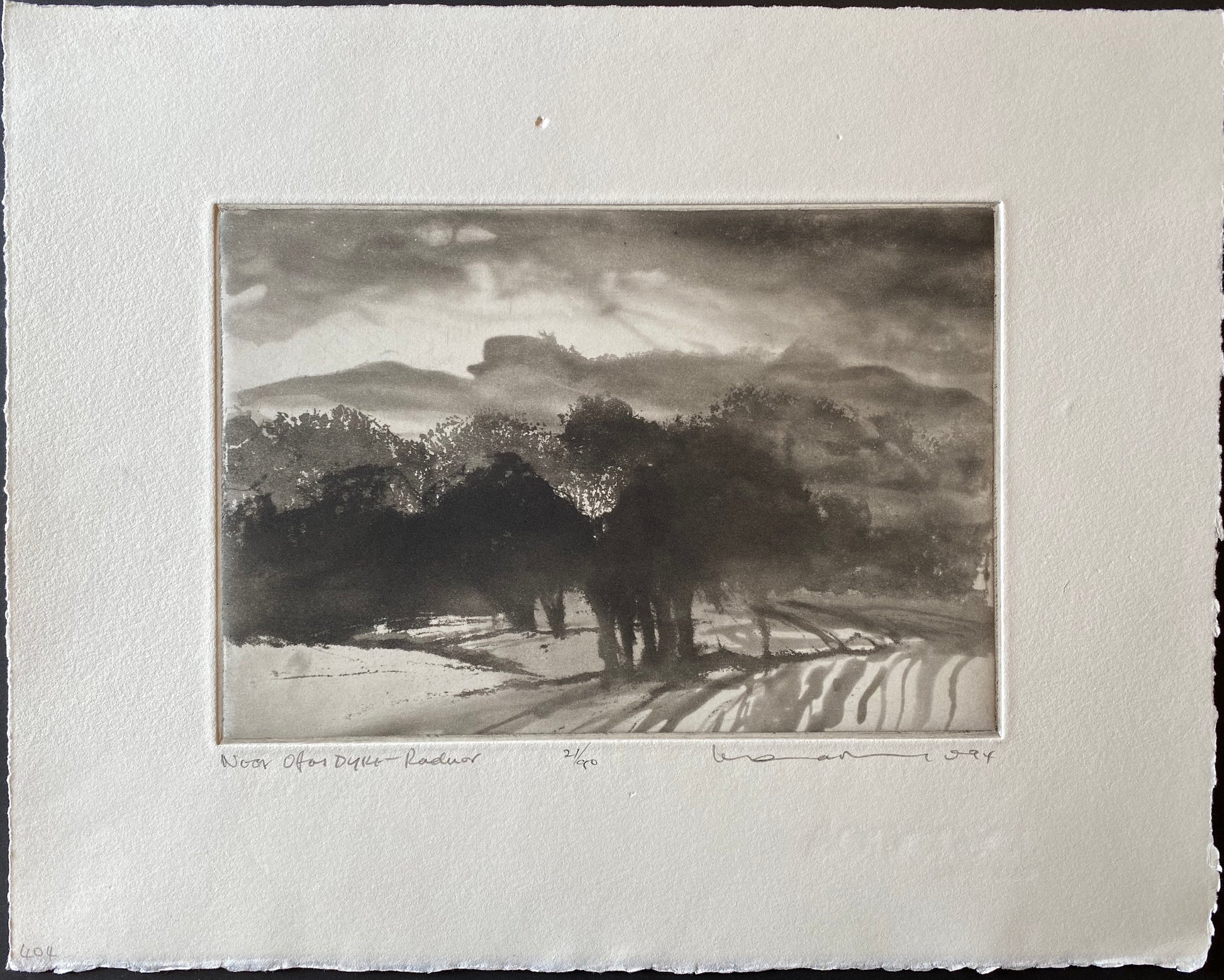 Near Offas Dyke, Radnor